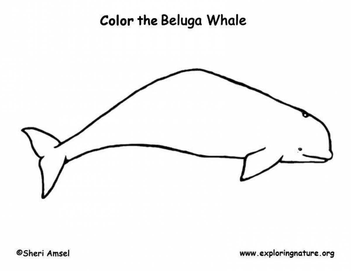 Coloring book shining white whale