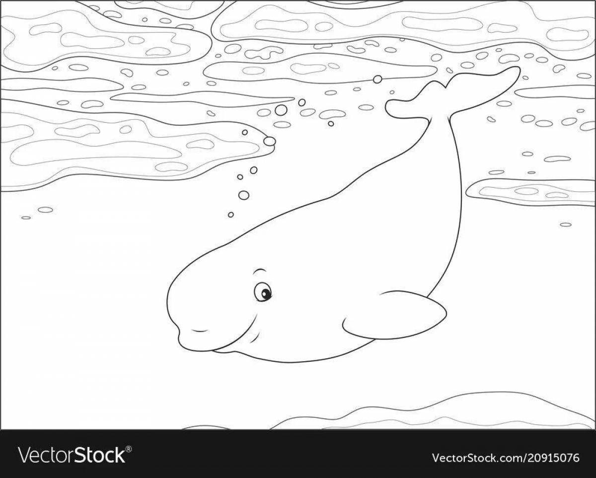 Элегантный белый кит раскраска