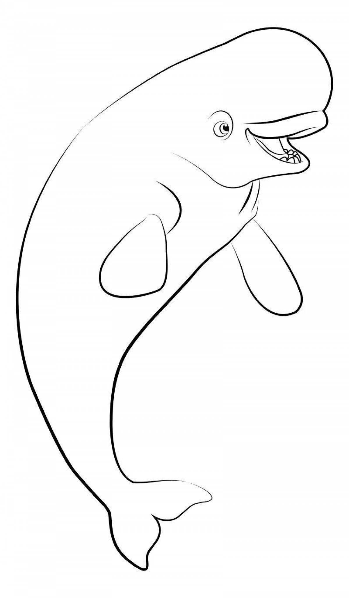Coloring book dazzling white whale