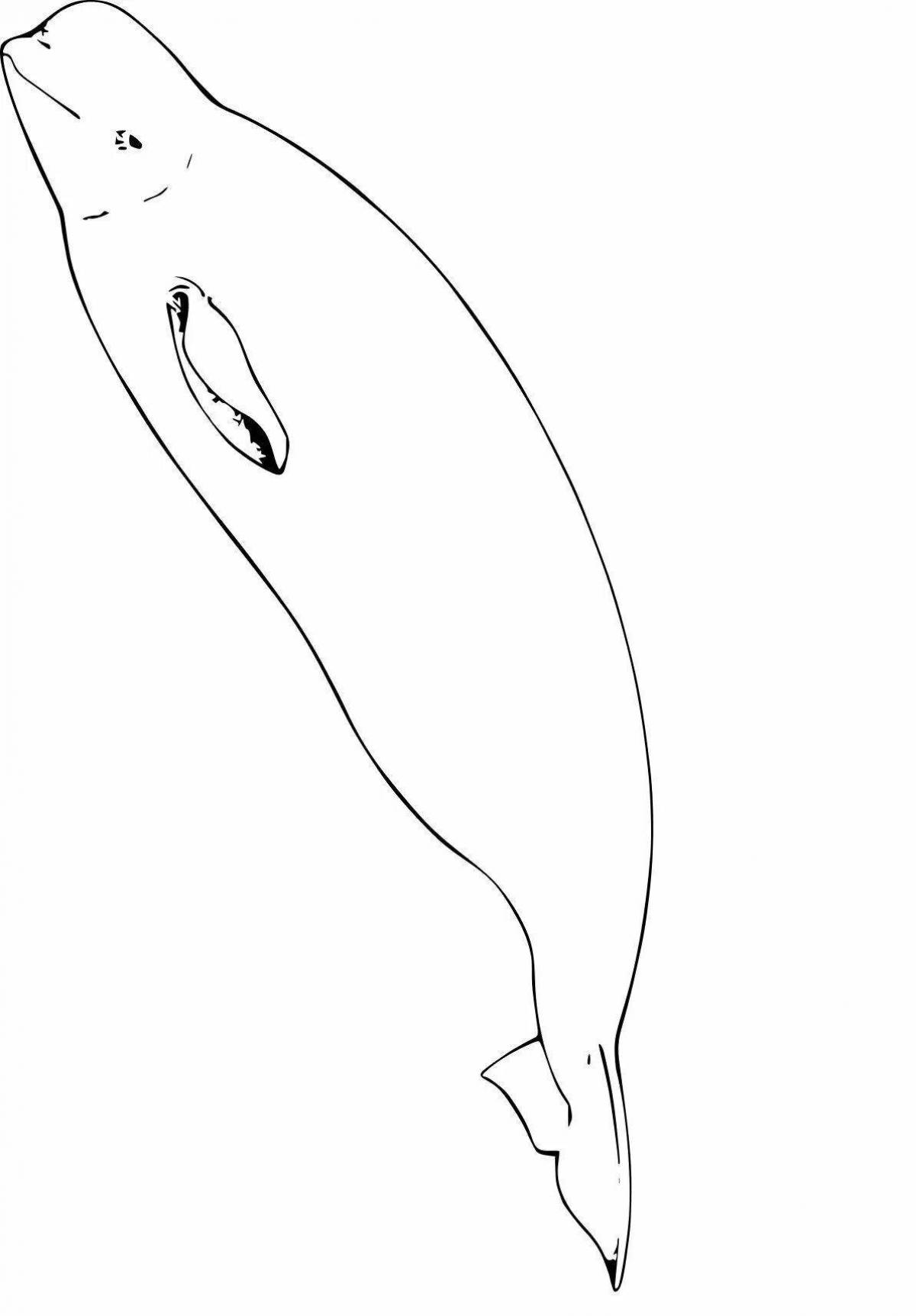 Adorable white whale coloring page