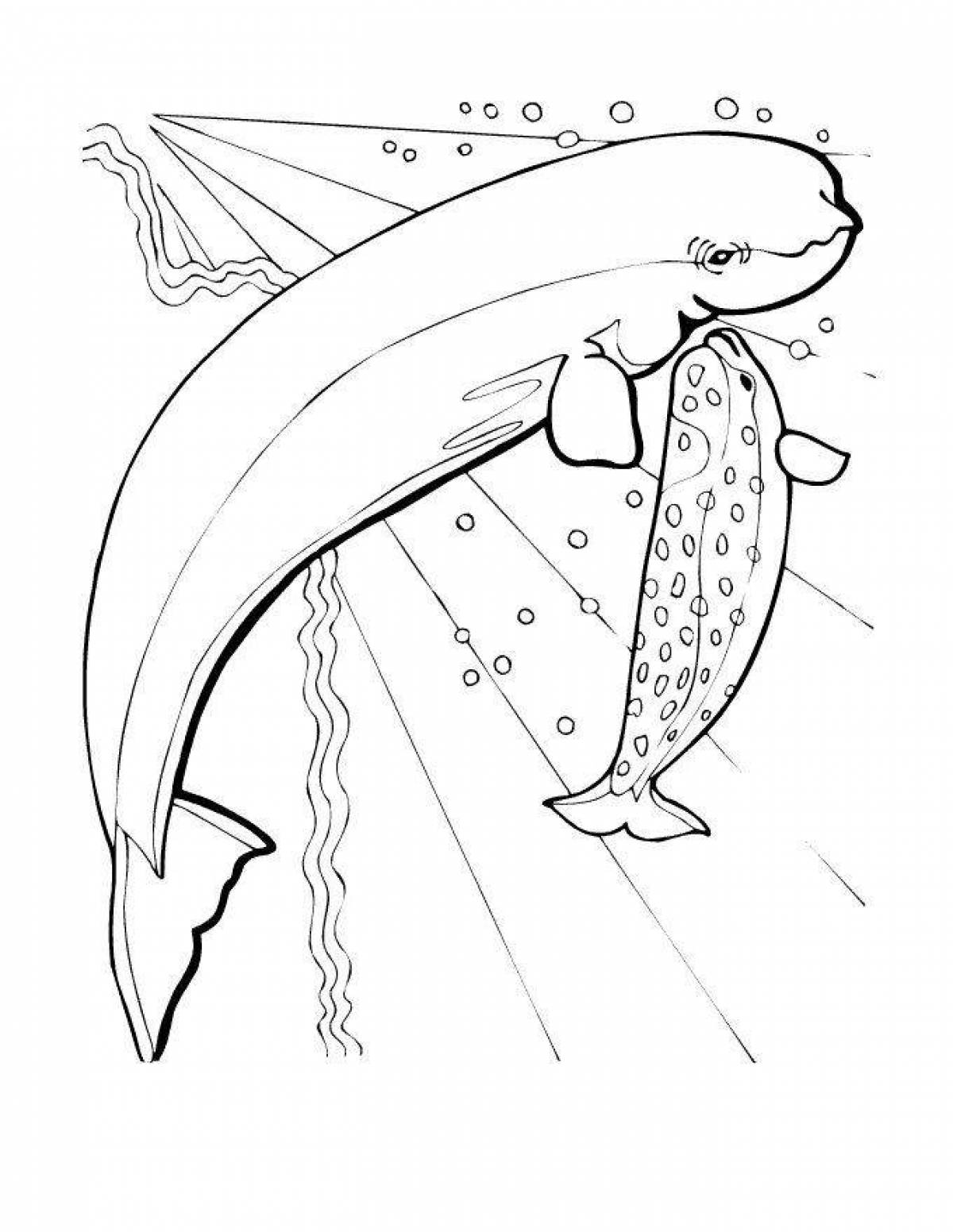 Adorable white whale coloring page