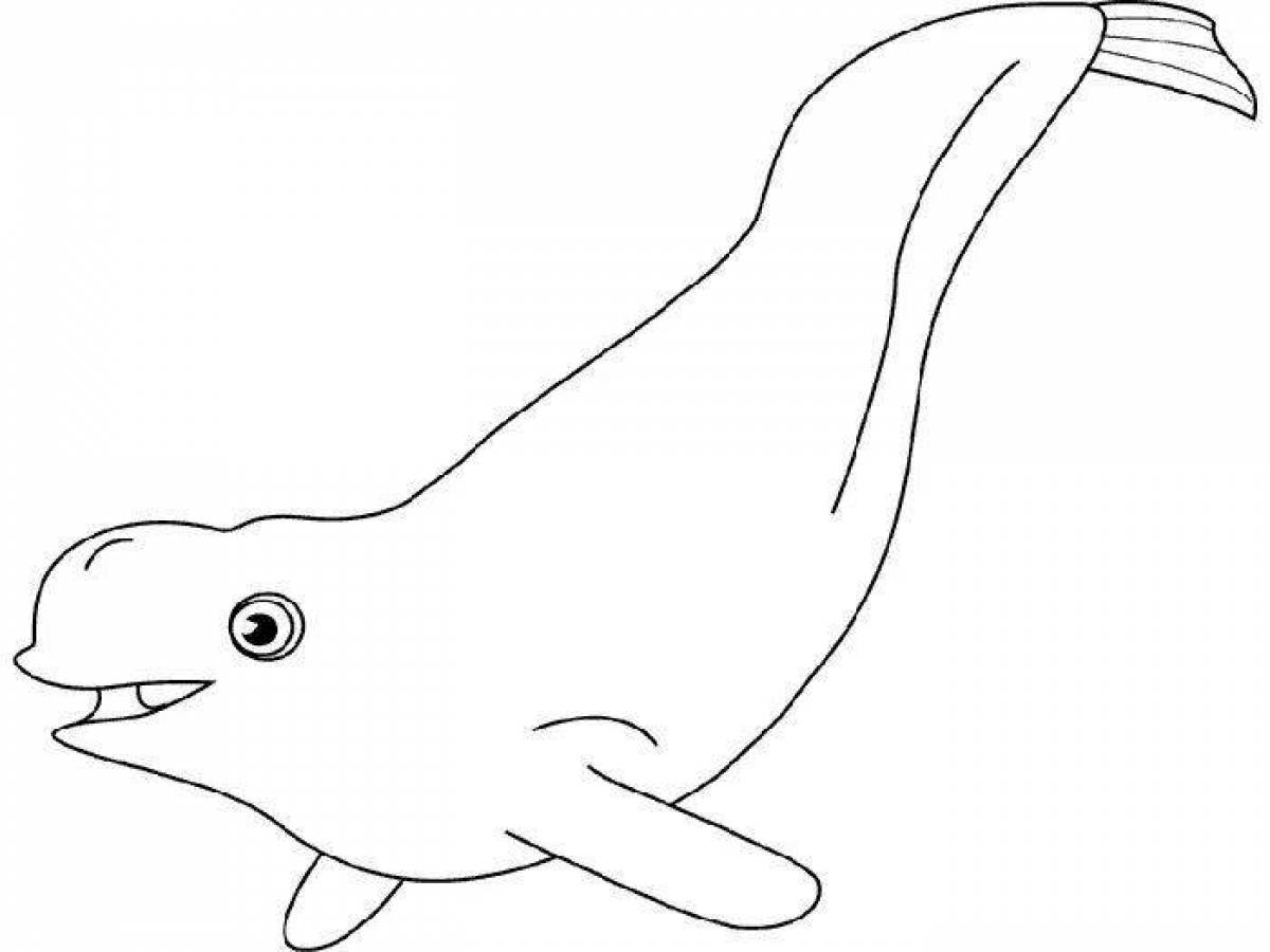 Раскраска грандиозный белый кит