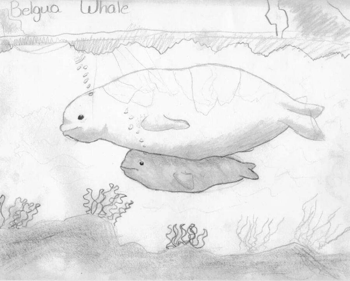 Coloring book luxury white whale