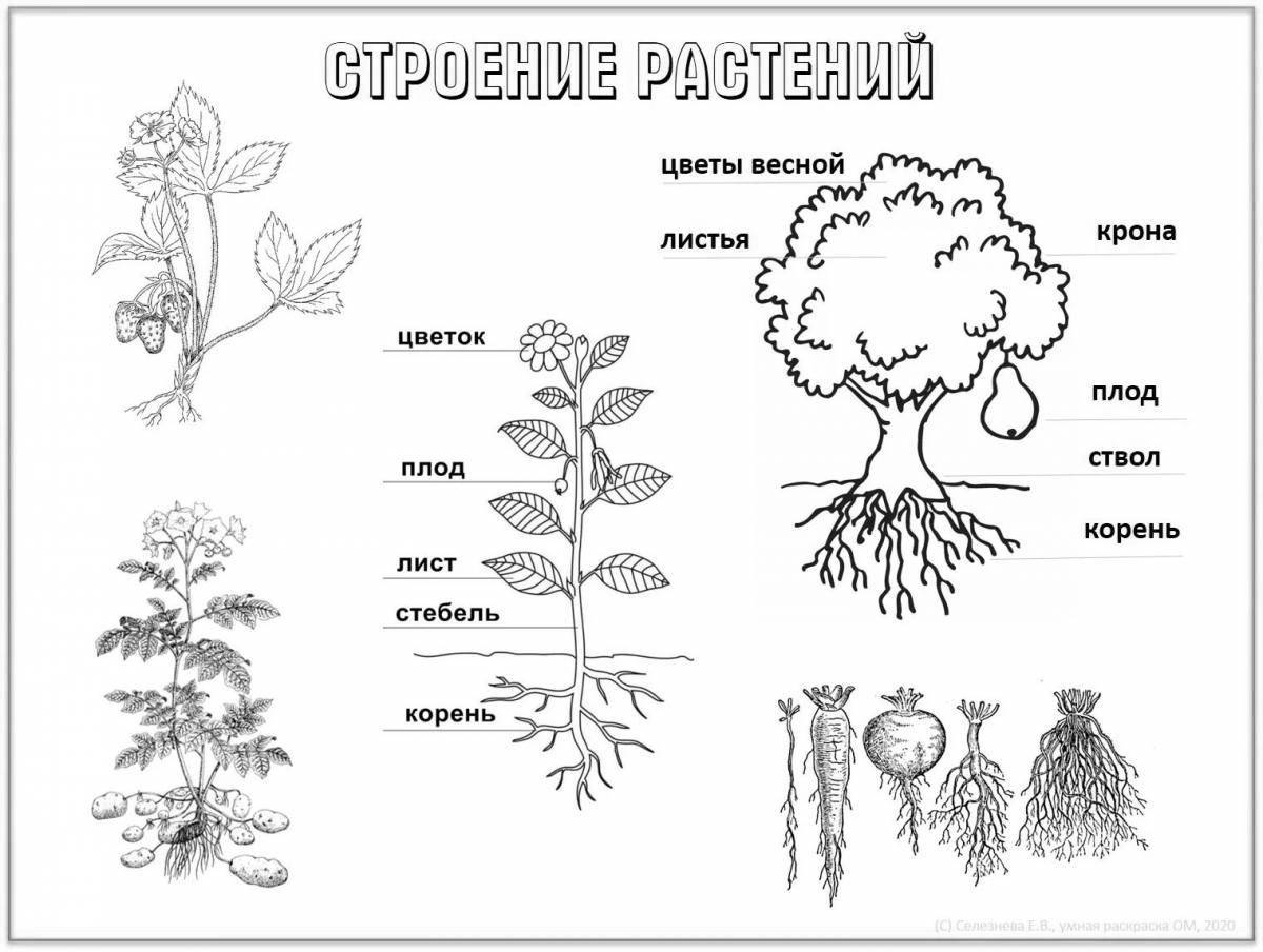 Photo Color-drama coloring scheme