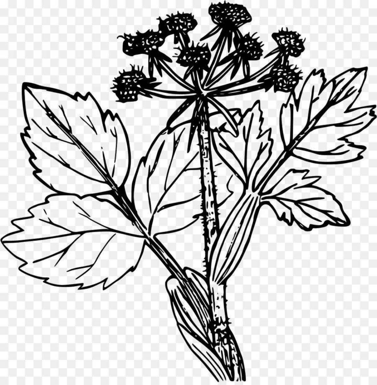 Coloring book magic hogweed