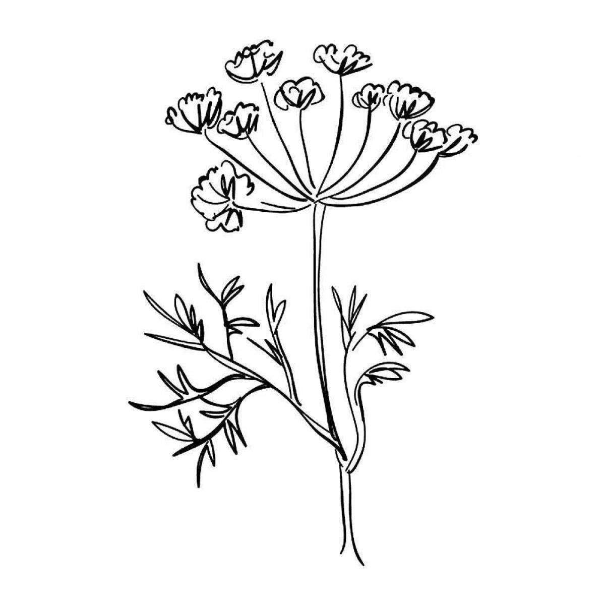 Coloring page glamor hogweed