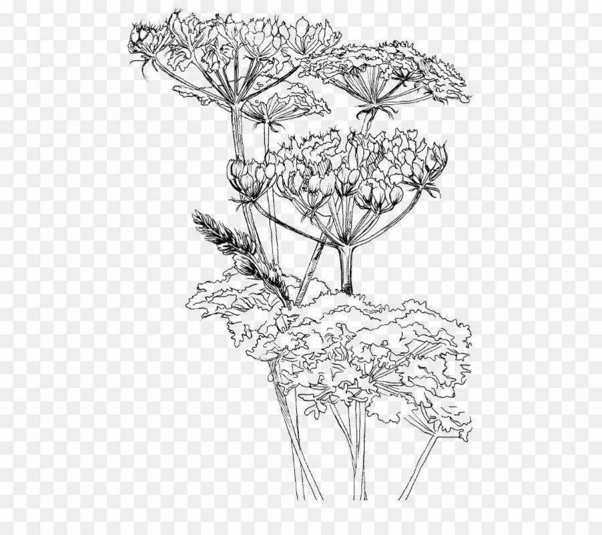 Awesome hogweed coloring page