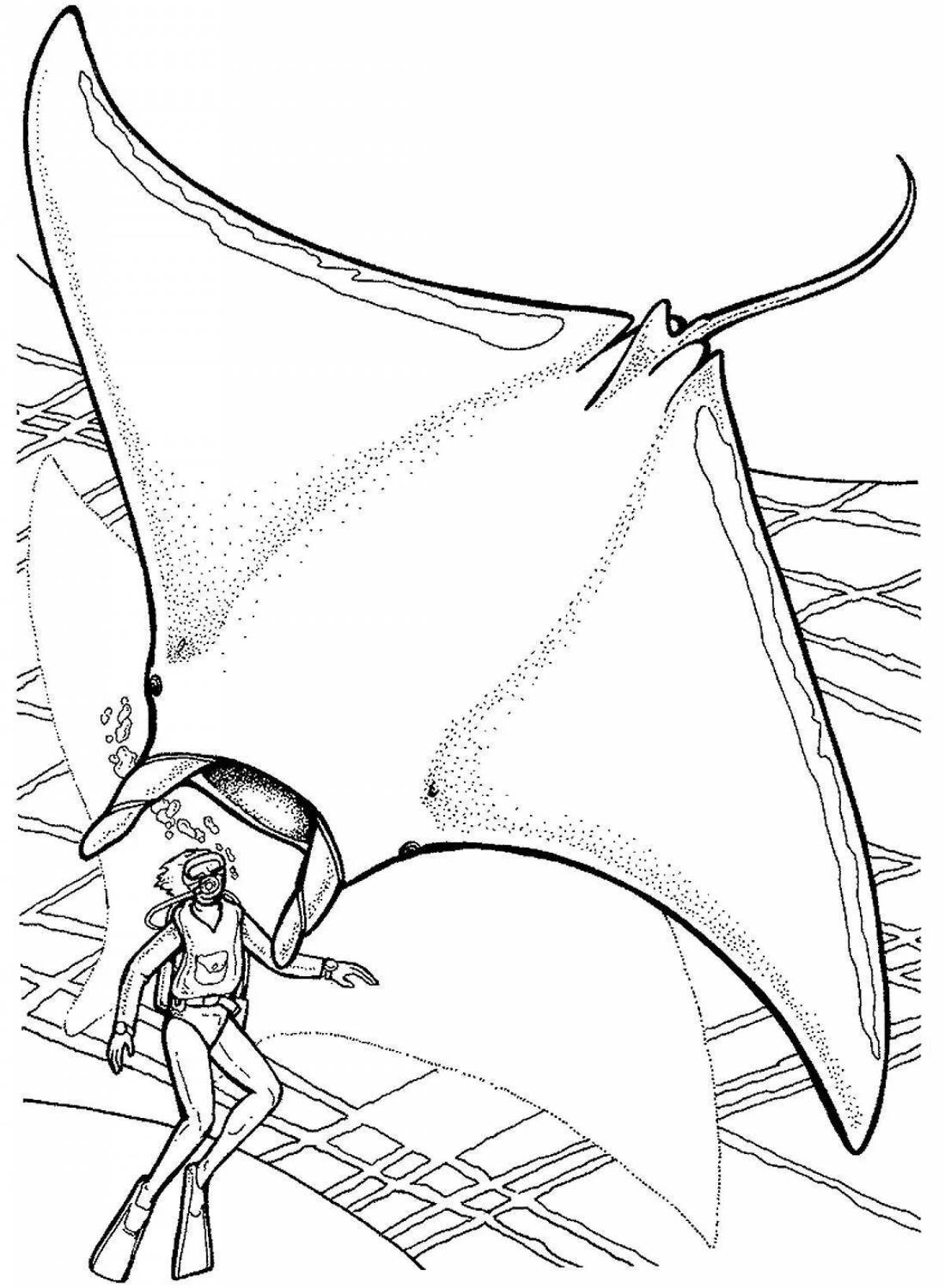 Playful manta ray coloring page