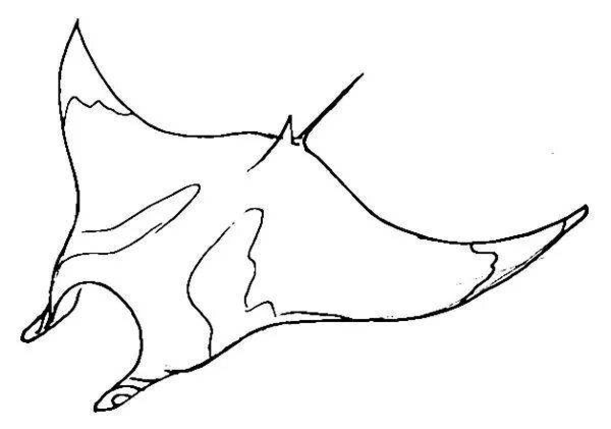 Adorable manta ray coloring page