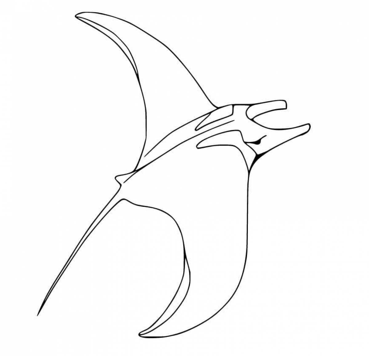 Animated manta ray coloring page