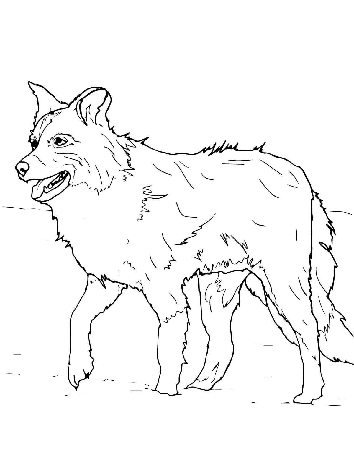 Radiant collie coloring page