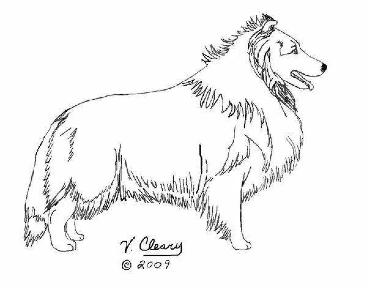 Collie holiday coloring page