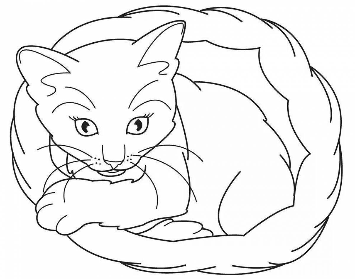 Coloring page gorgeous cat