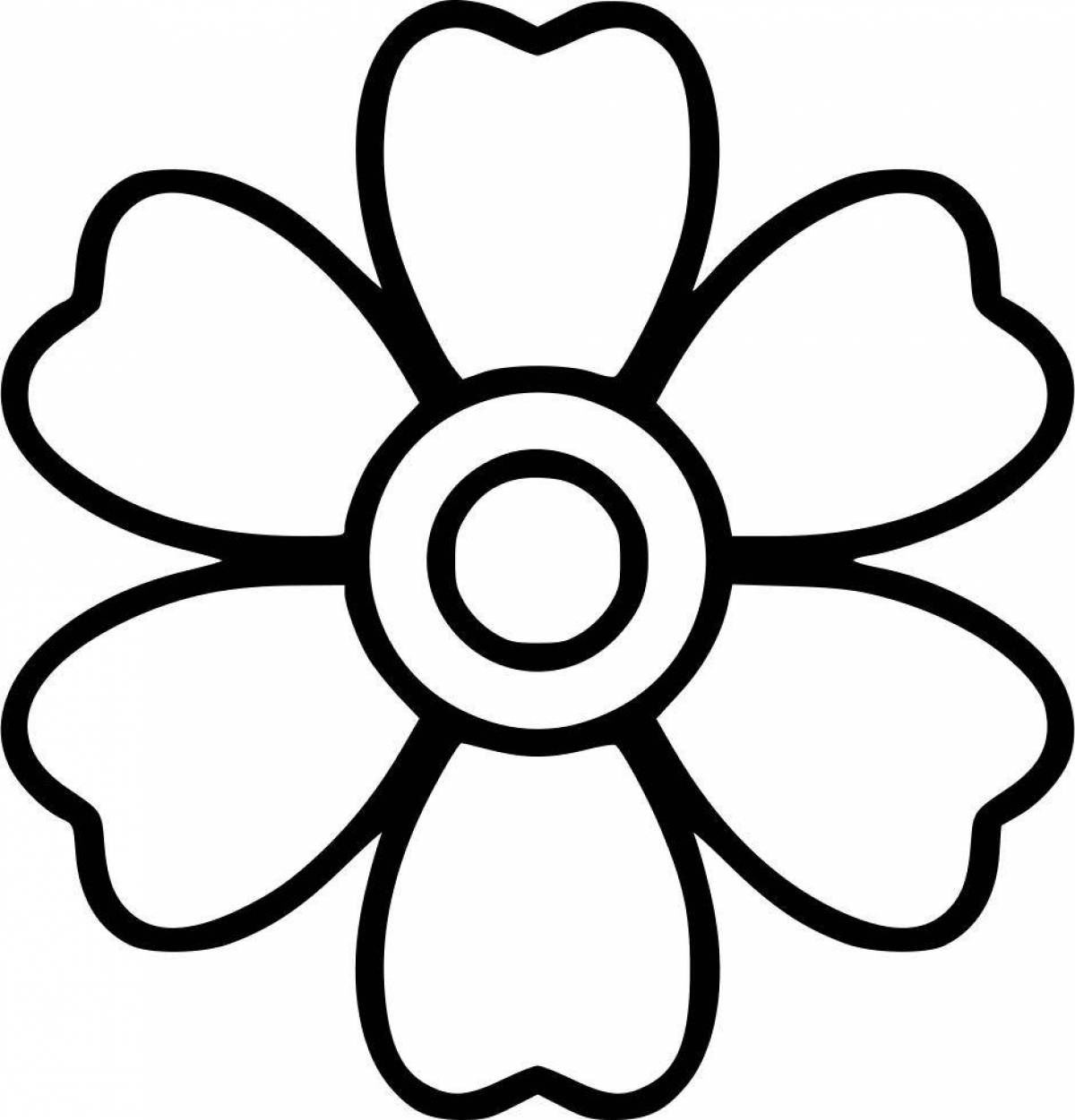 Colorful chamomile flower coloring page