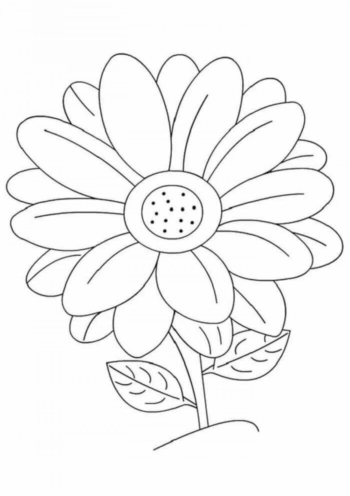 Coloring page cheerful chamomile flower