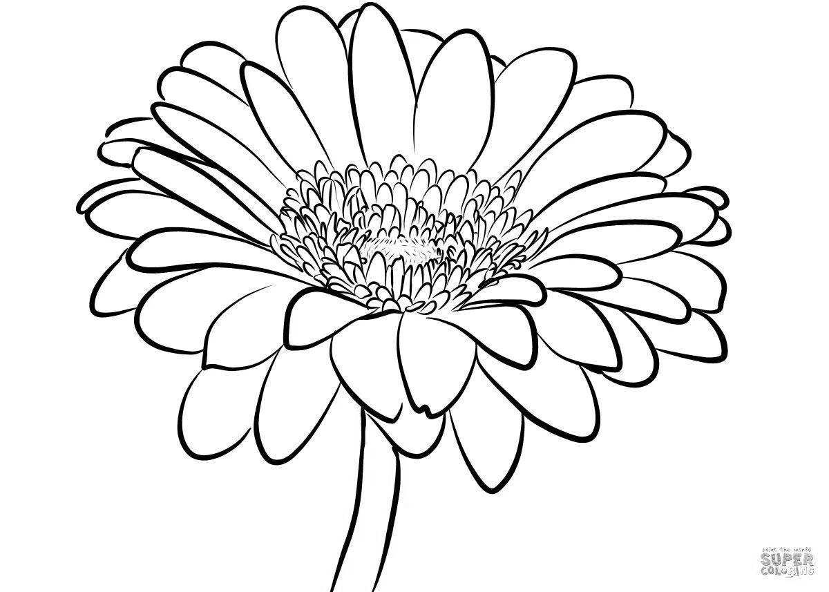 Glowing chamomile flower coloring page