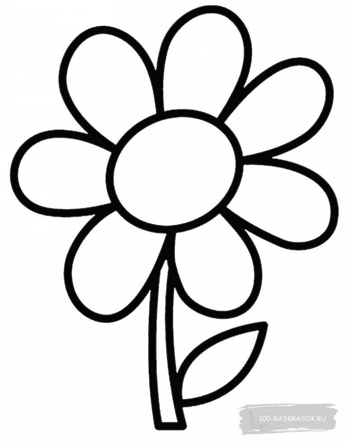 Exquisite chamomile coloring page