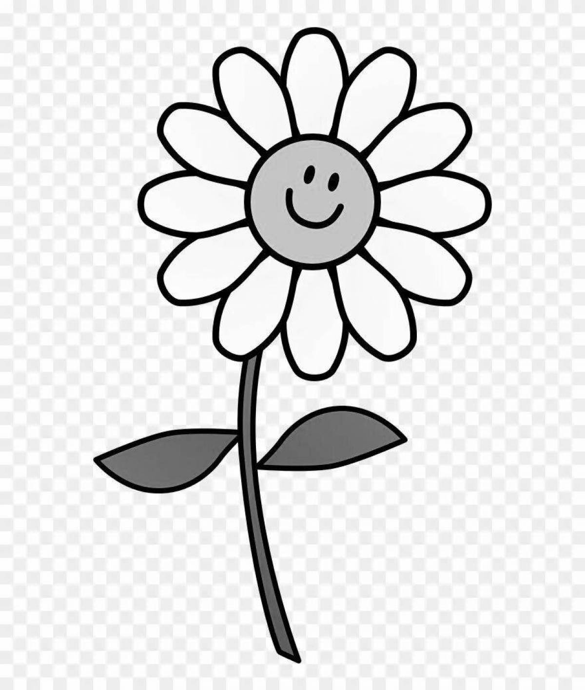 Coloring page gorgeous chamomile flower