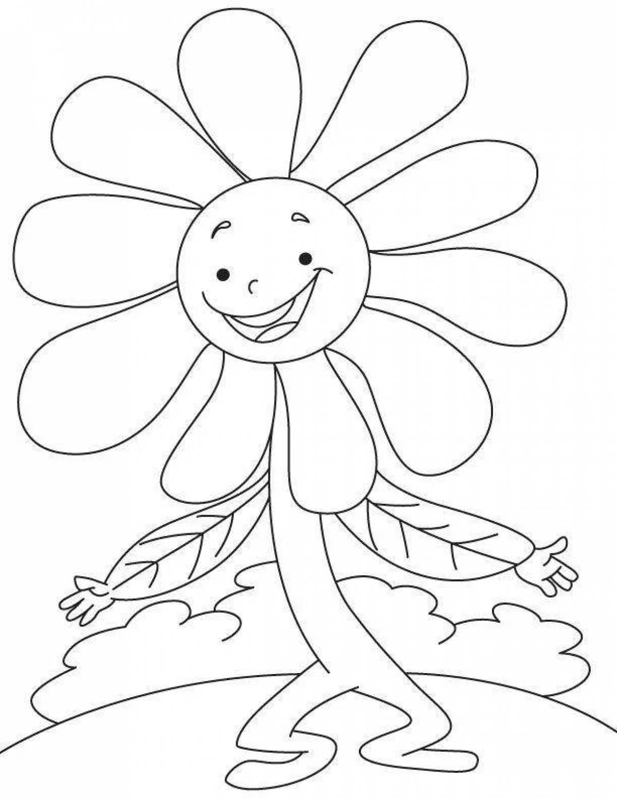 Chamomile flower coloring page