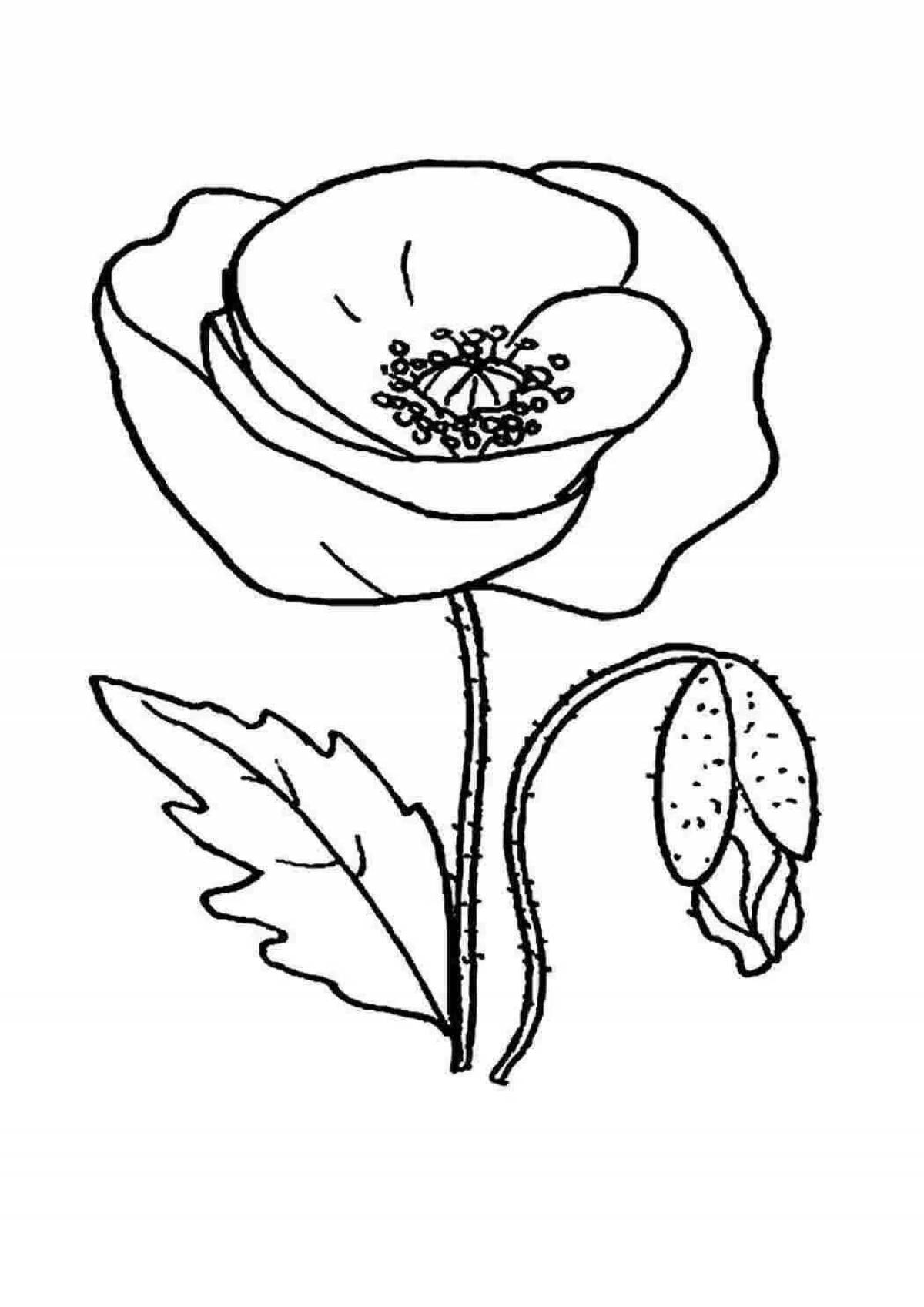 Coloring page joyful poppy flower