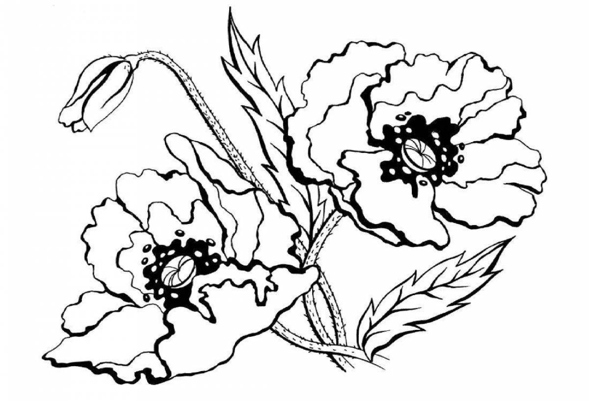 Amazing poppy coloring page