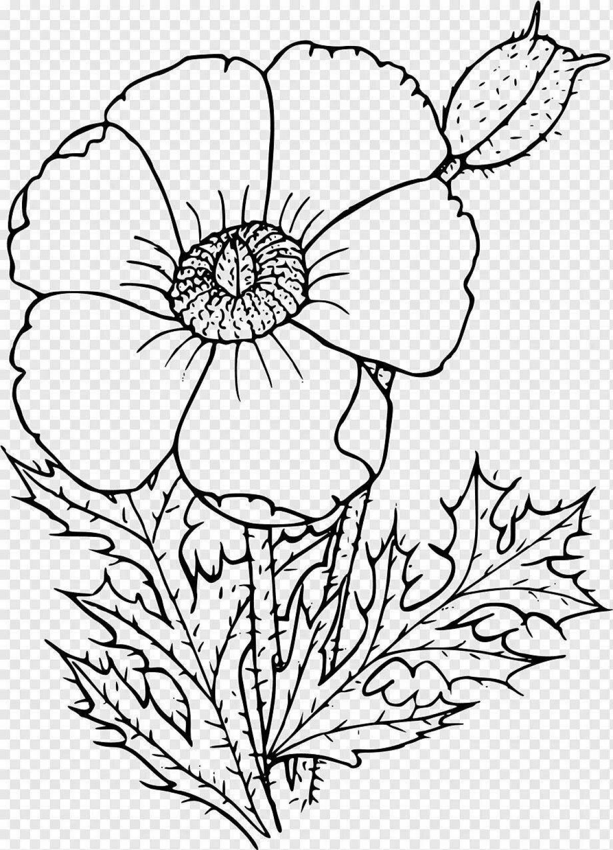 Coloring book glowing poppy flower