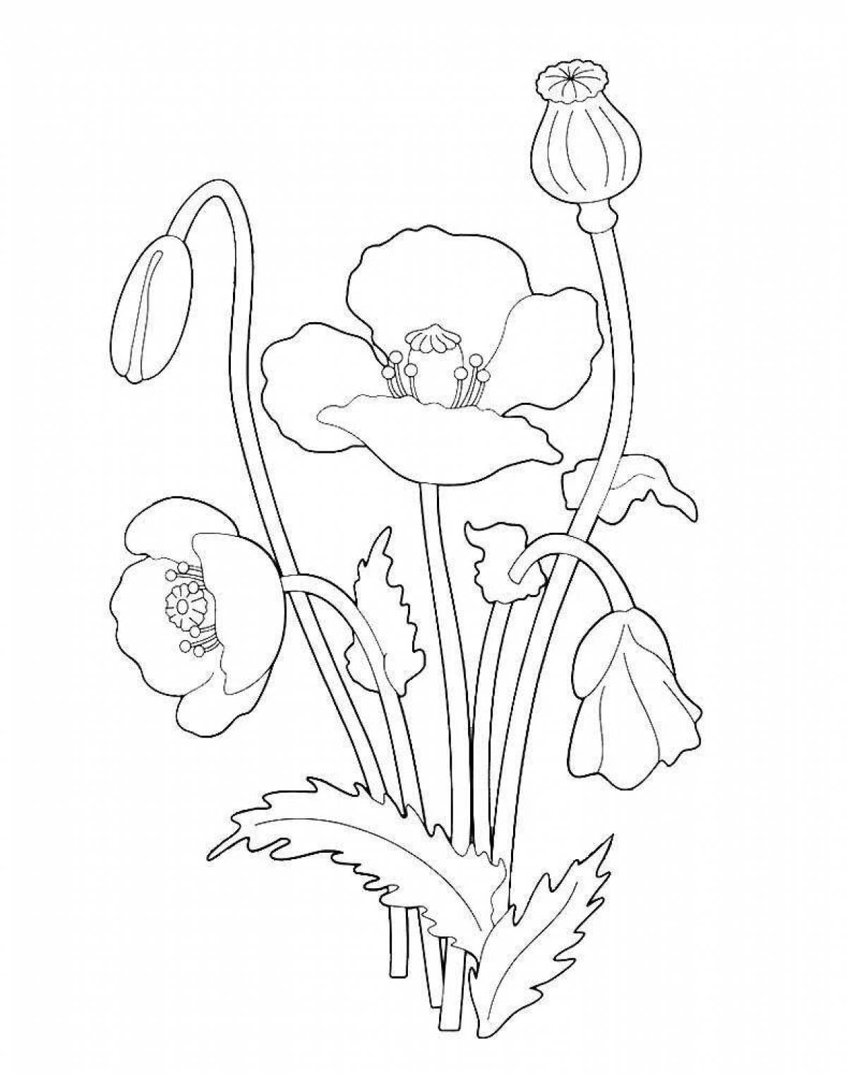 Exquisite poppy flower coloring book