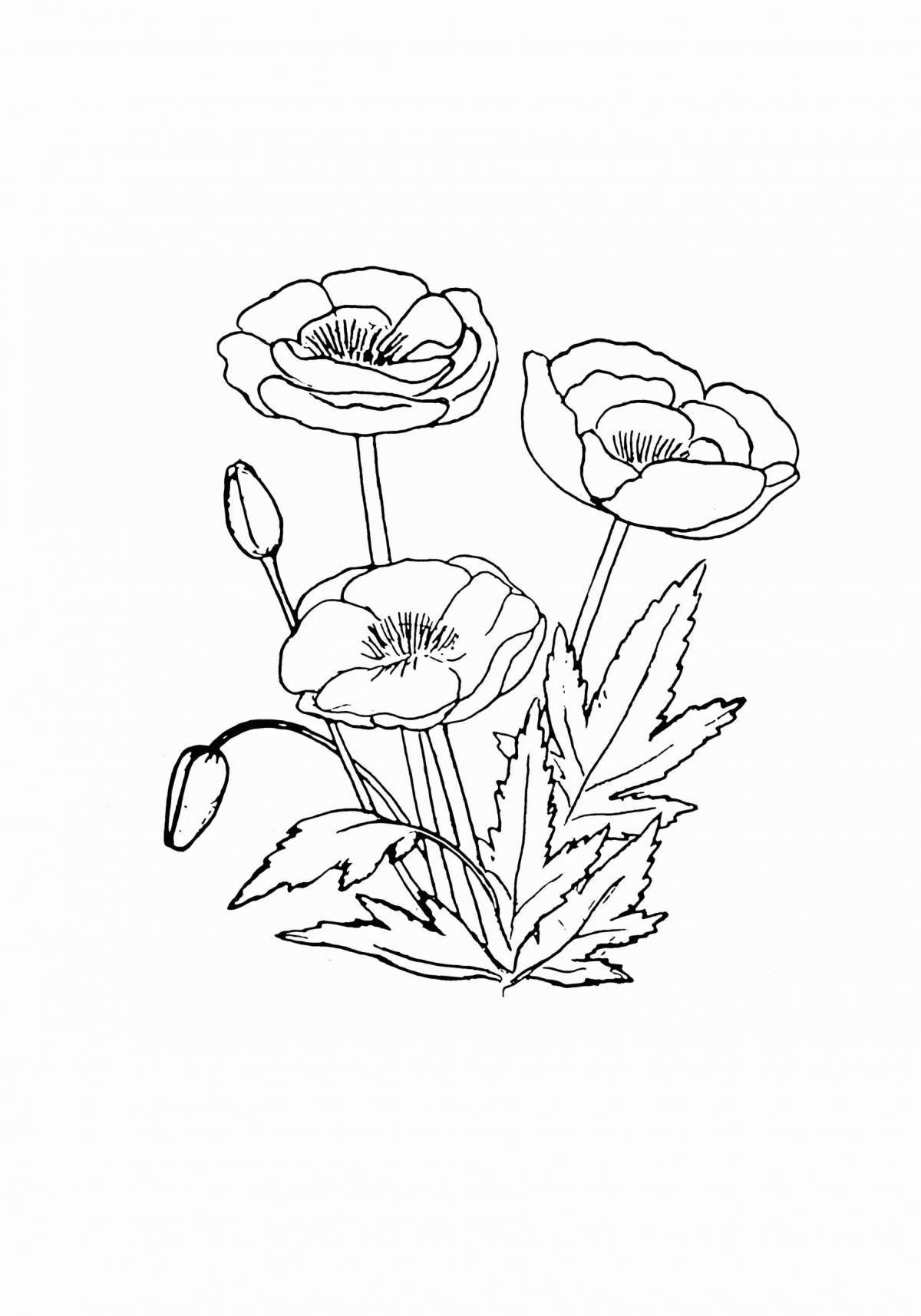 Coloring page playful poppy flower