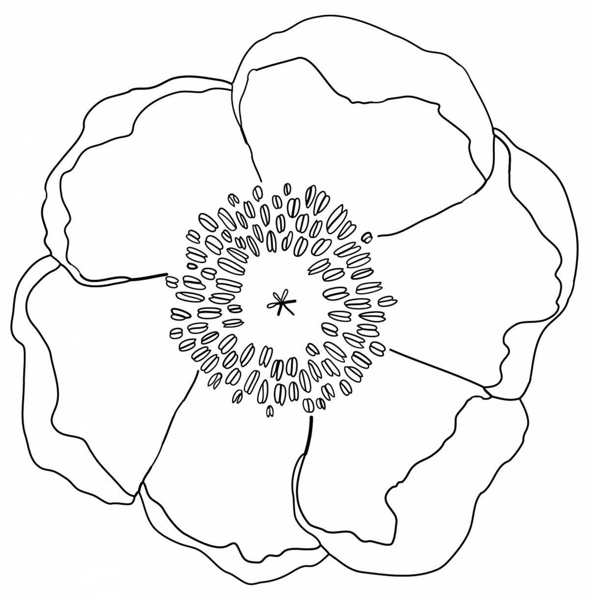 Coloring page living poppy flower