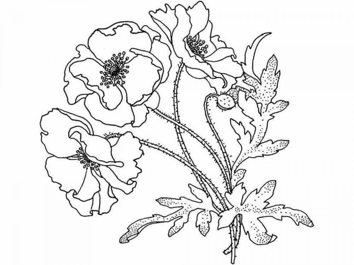 Coloring exotic poppy flower