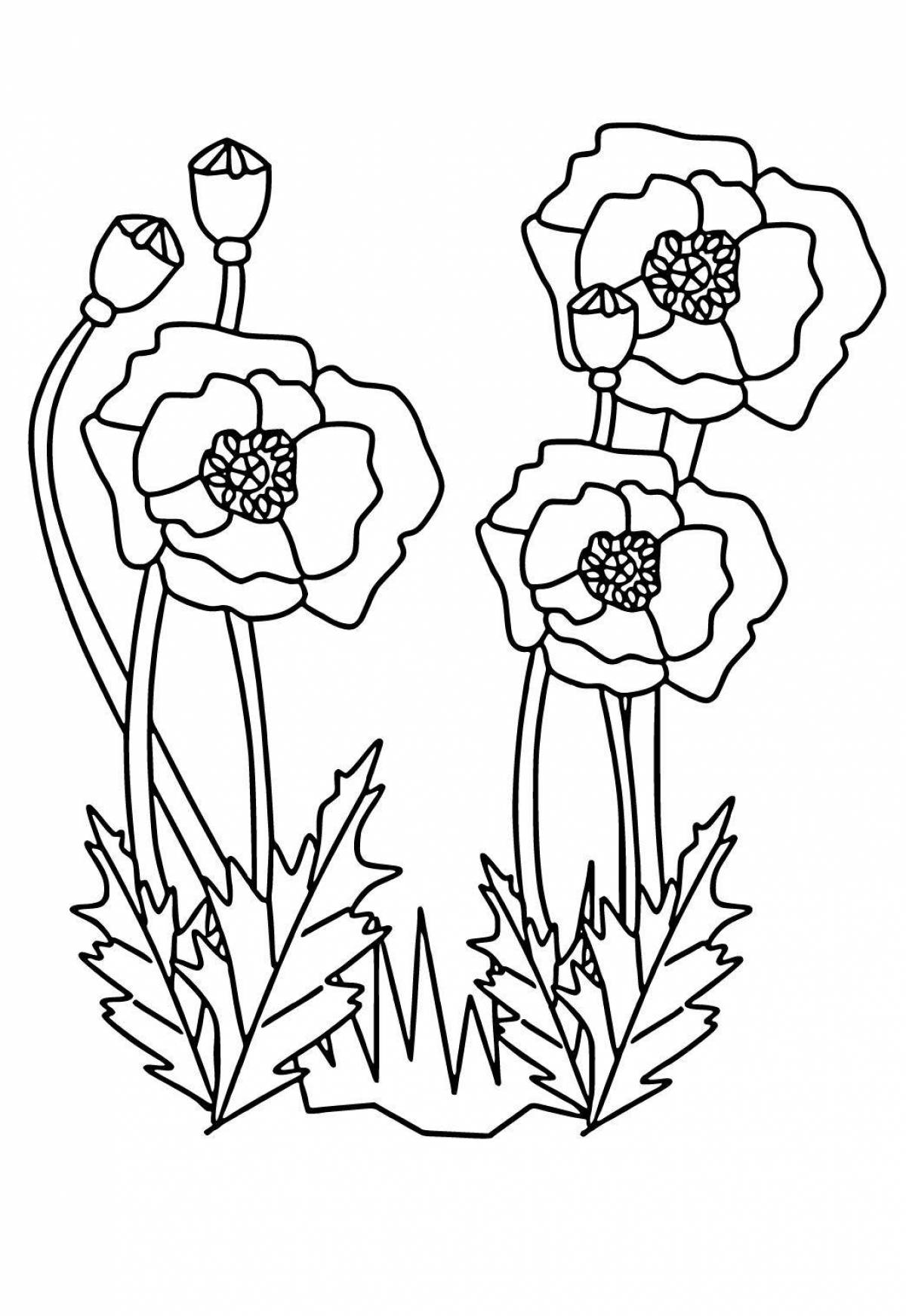 Refreshing poppy coloring page