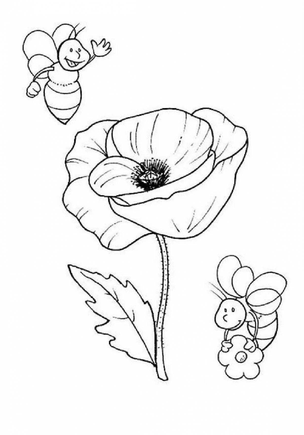 Coloring sublime poppy flower