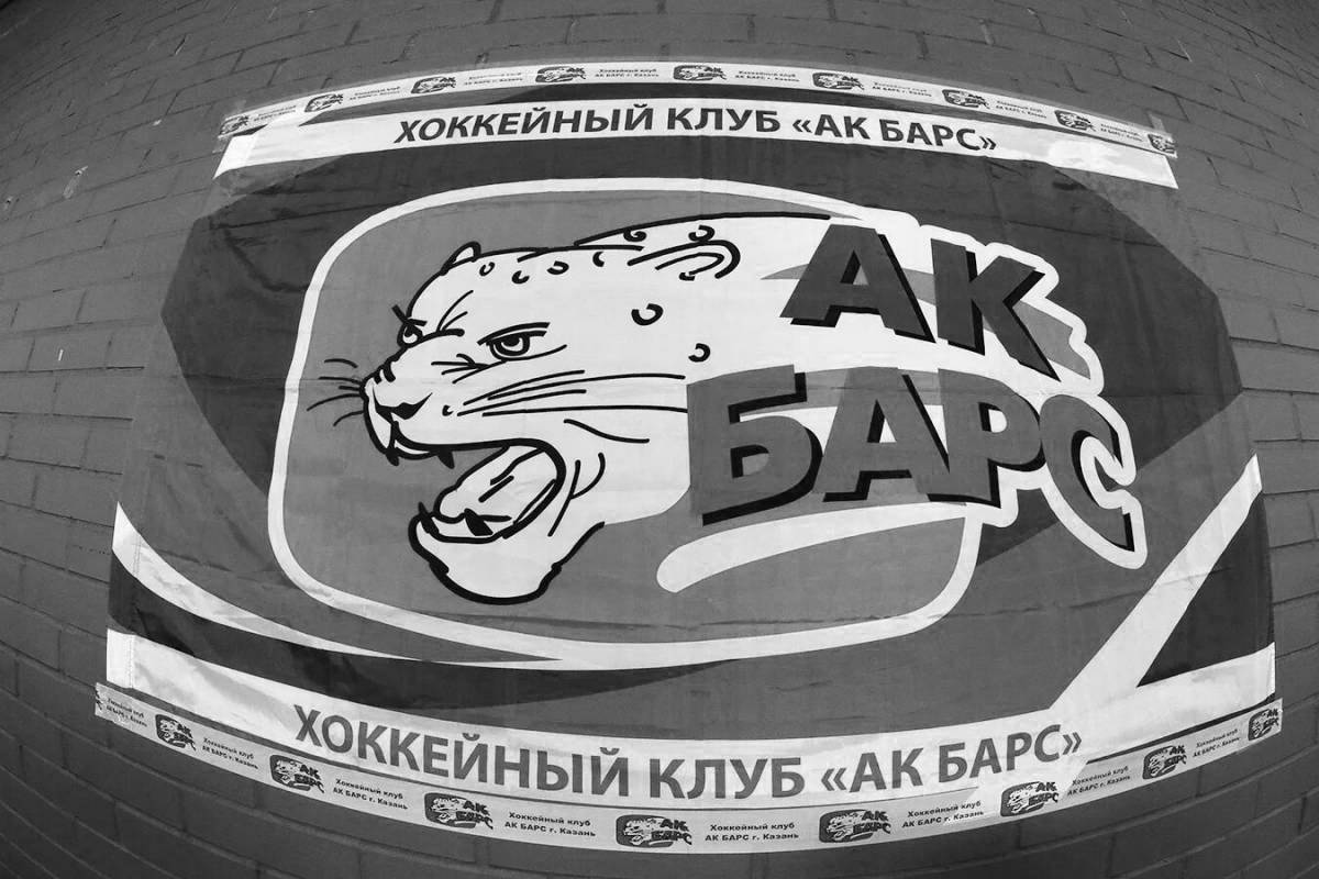 Раскраска веселый ак барс