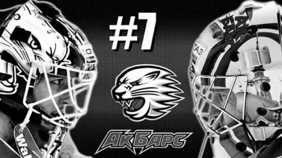 Очаровательная раскраска ak bars