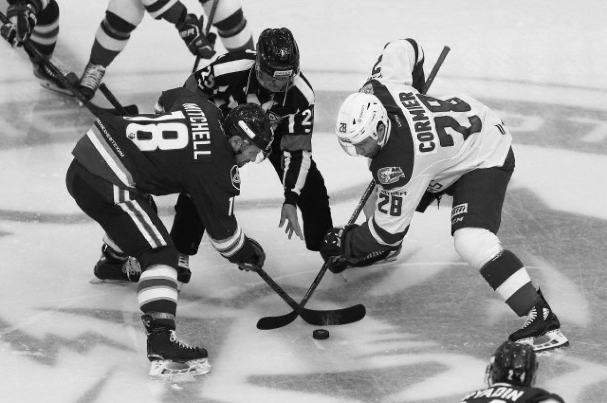 Привлекательная раскраска ak bars