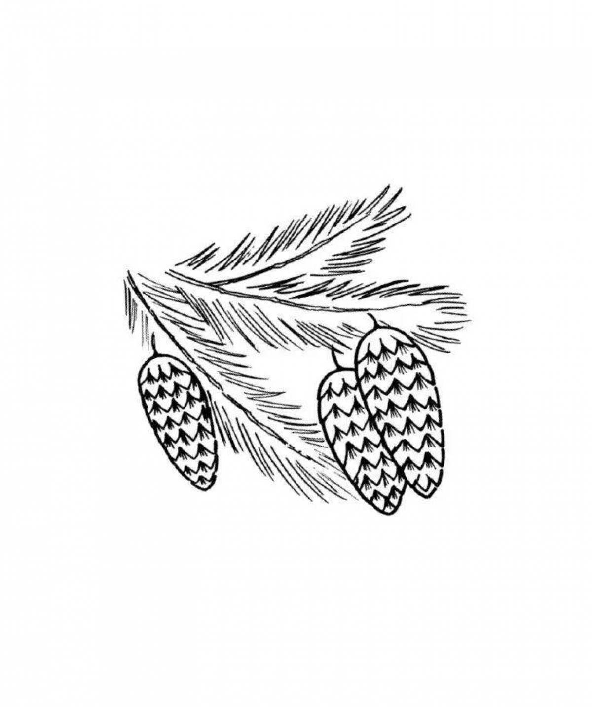Coloring page delightful sprig of spruce