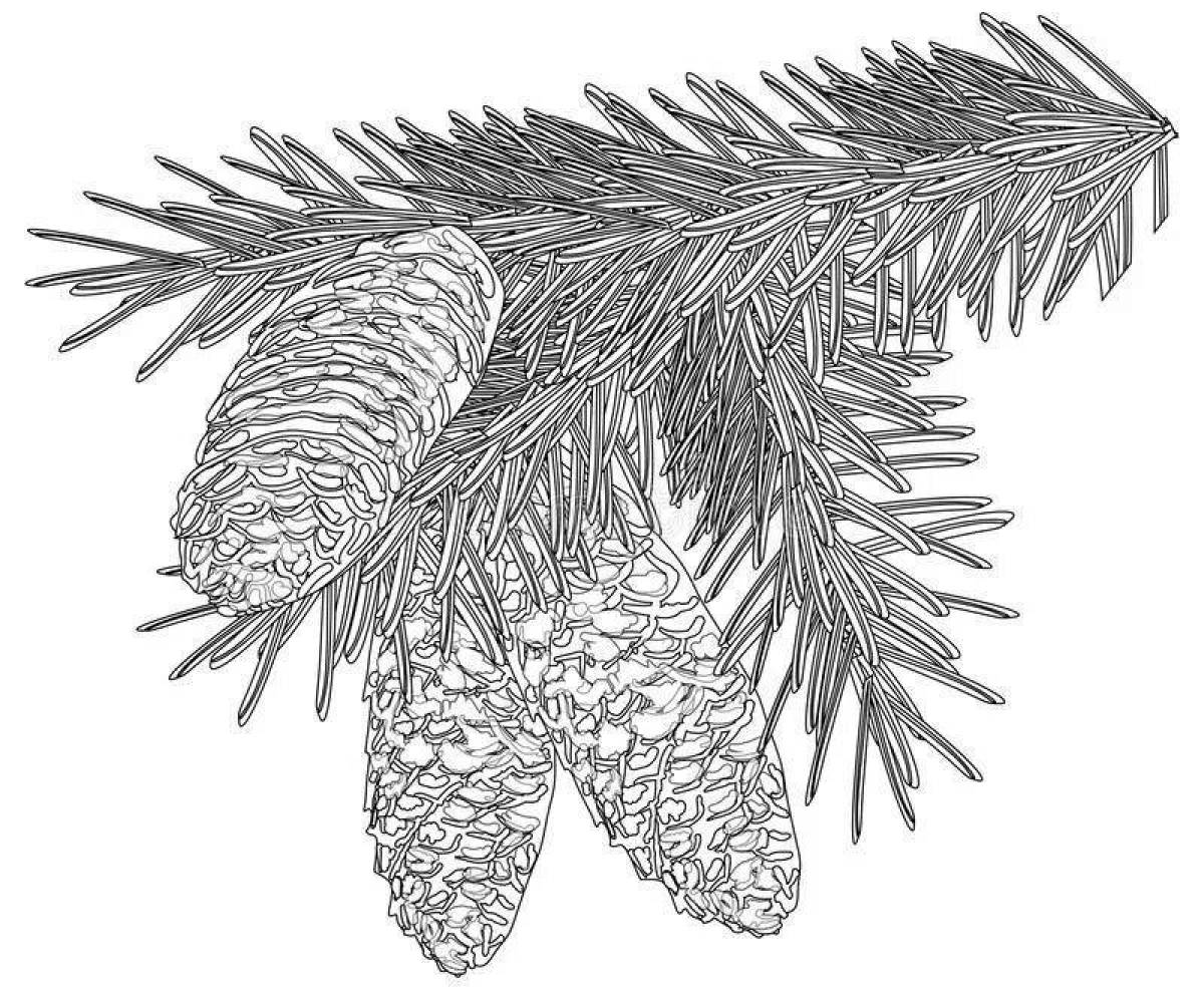 Coloring book exquisite fir twig