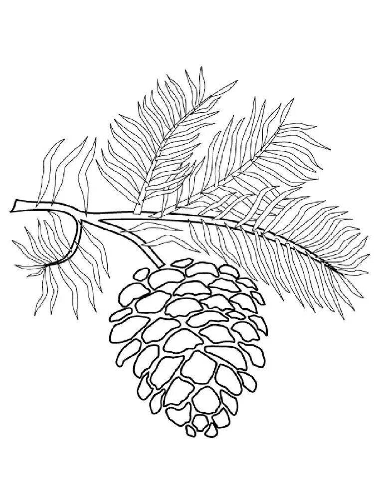 Glitter spruce coloring page
