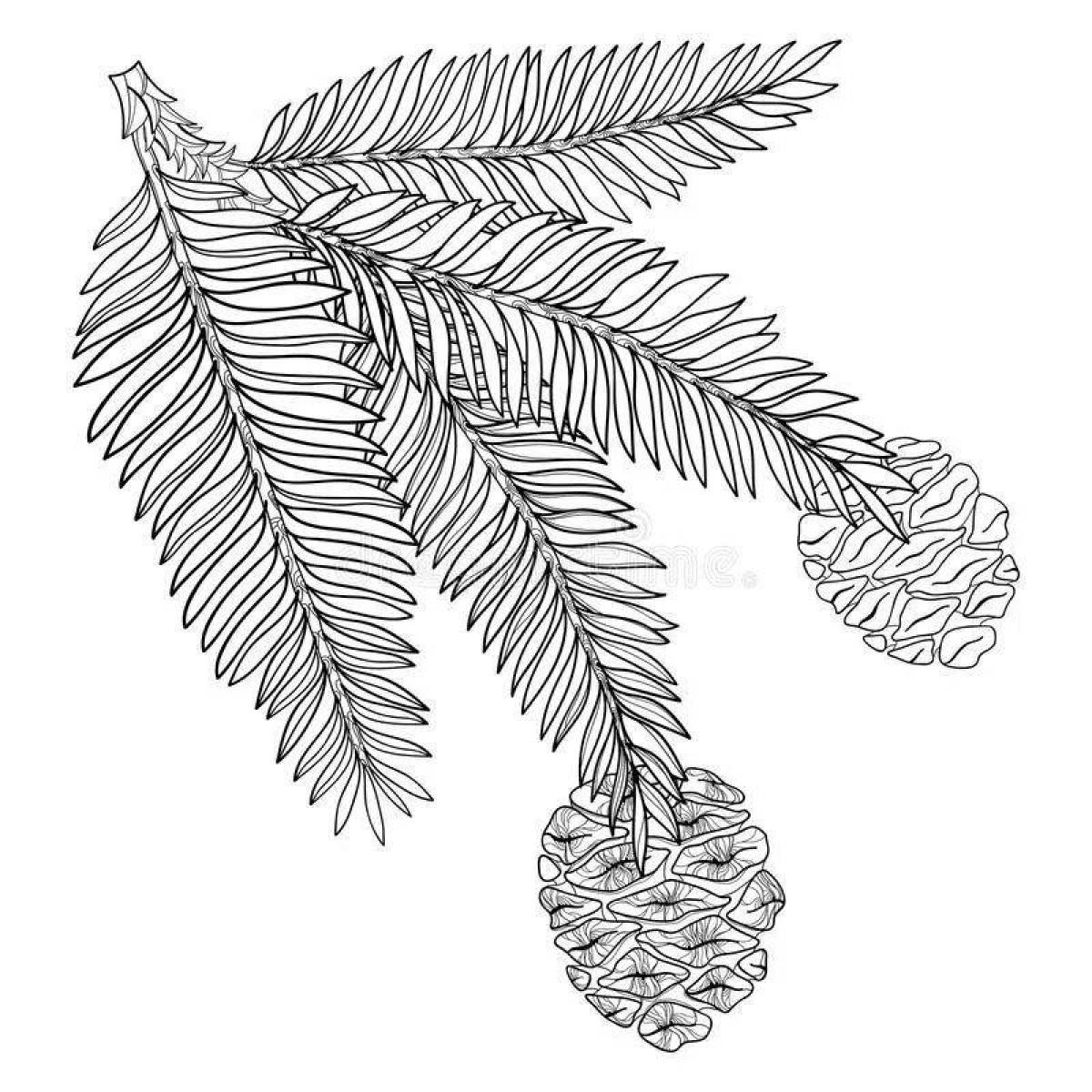 Coloring page graceful sprig of spruce