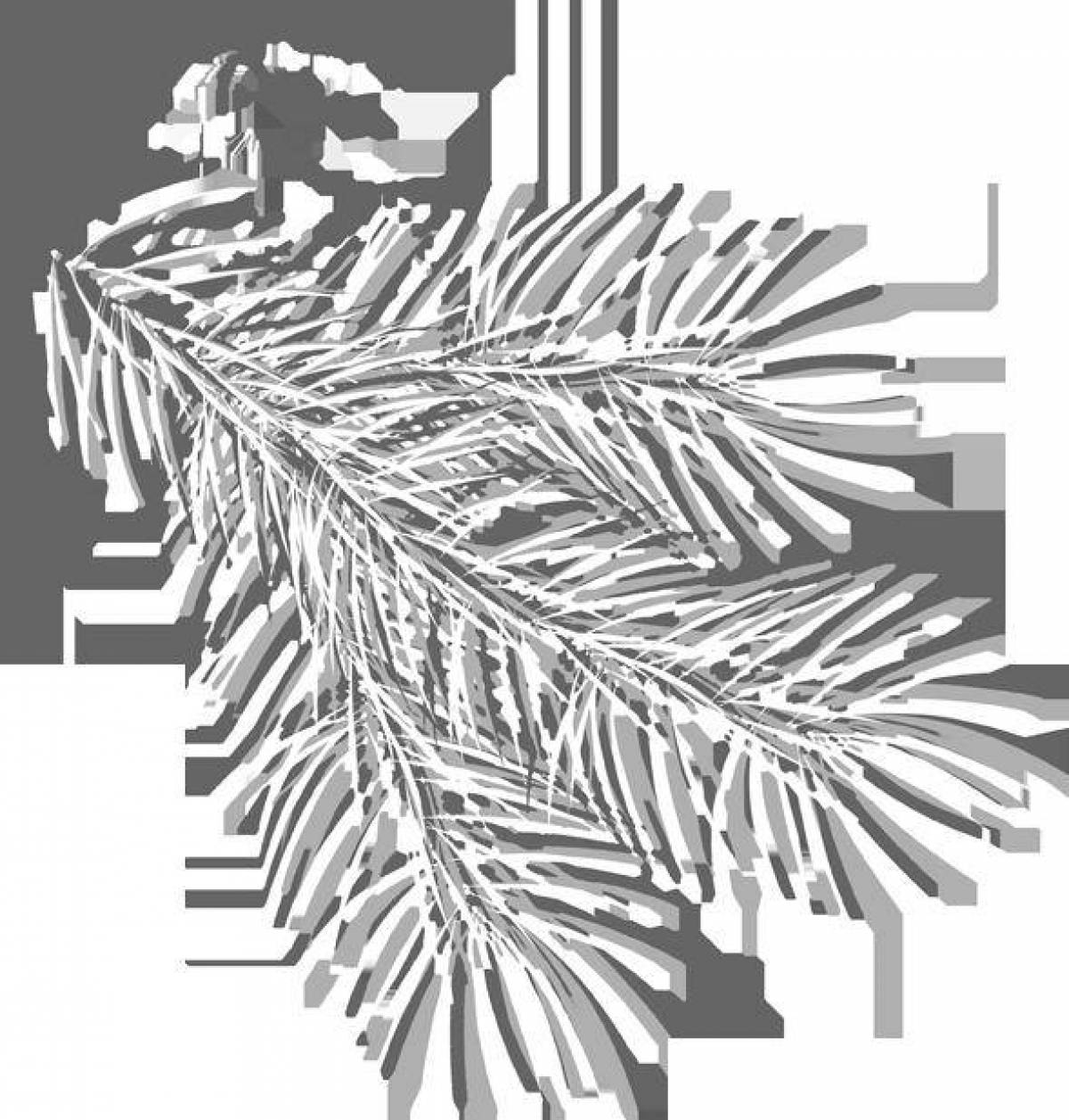 Coloring page joyful fir twig