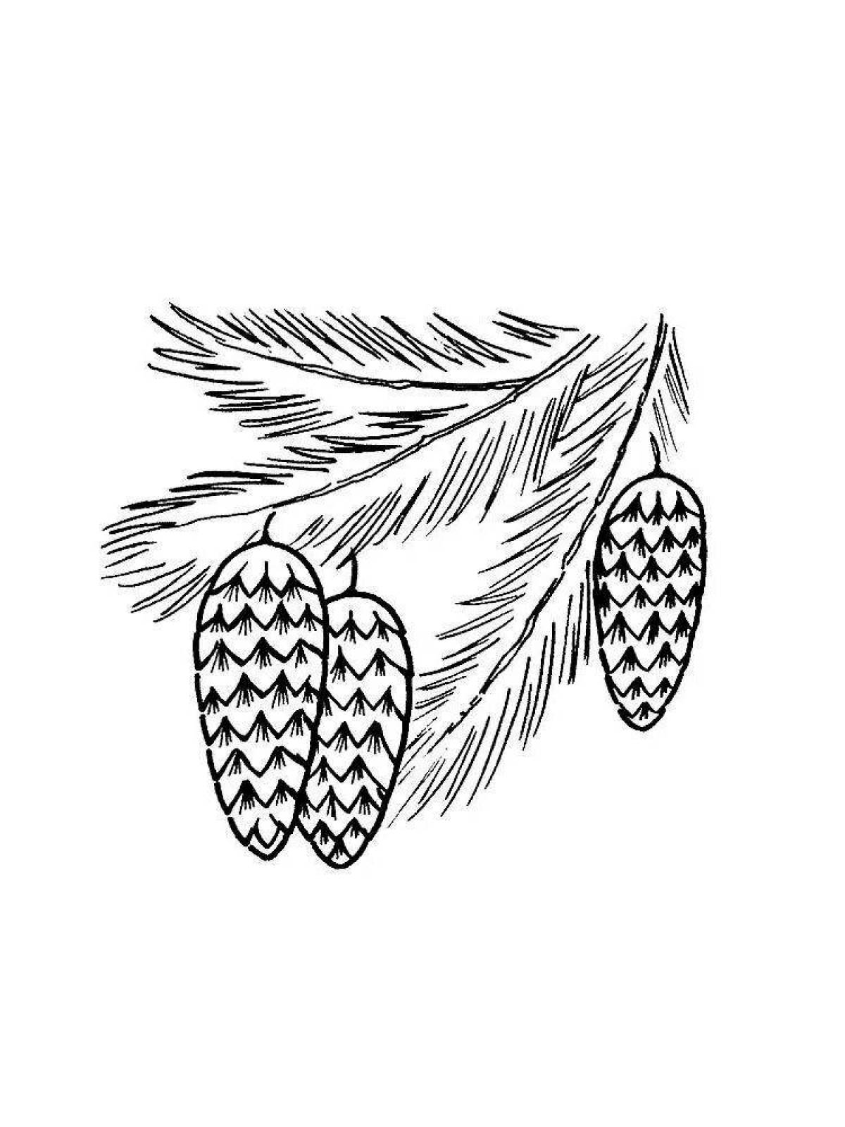 Coloring page cheerful sprig of spruce