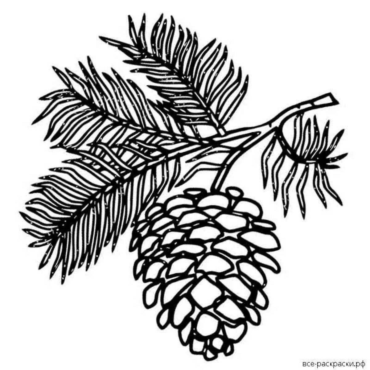 Colouring colorful sprig of spruce