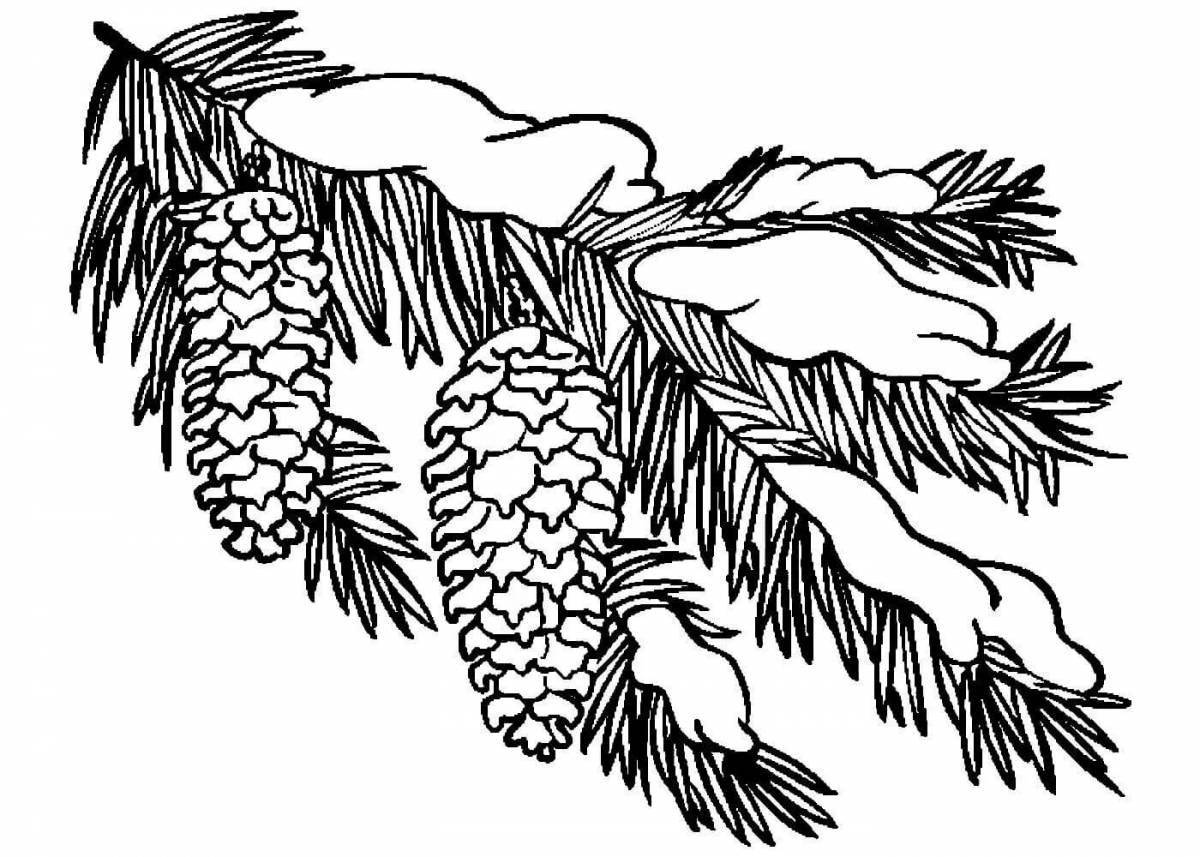 Coloring page attractive fir twig