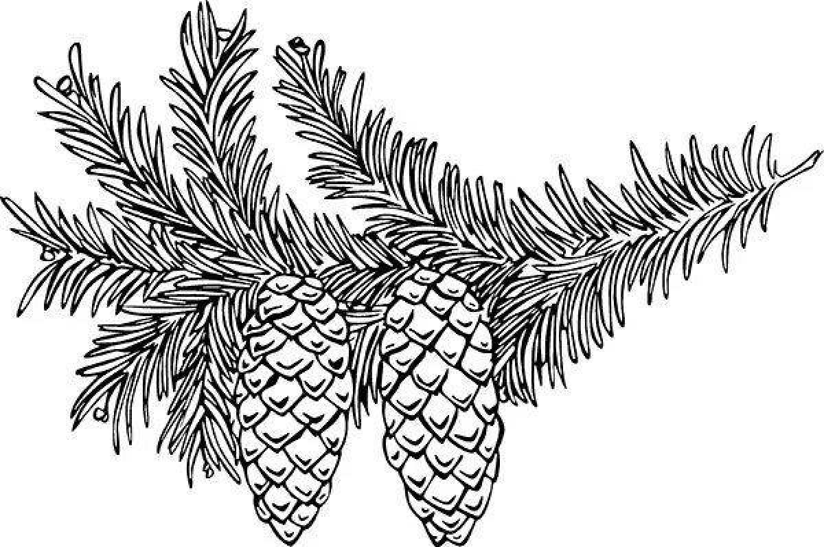 Intriguing coloring sprig spruce