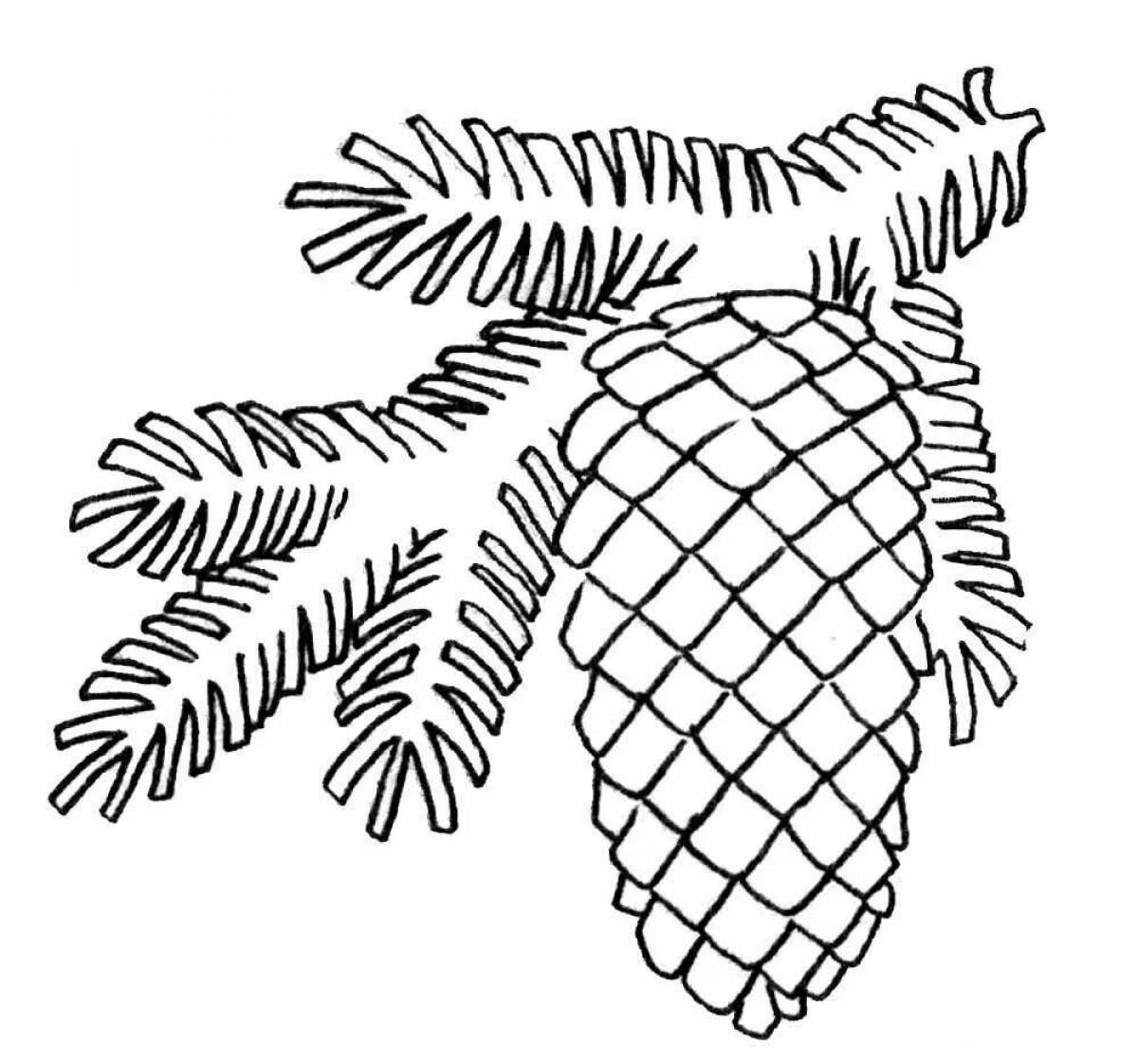 Coloring page fascinating sprig of spruce