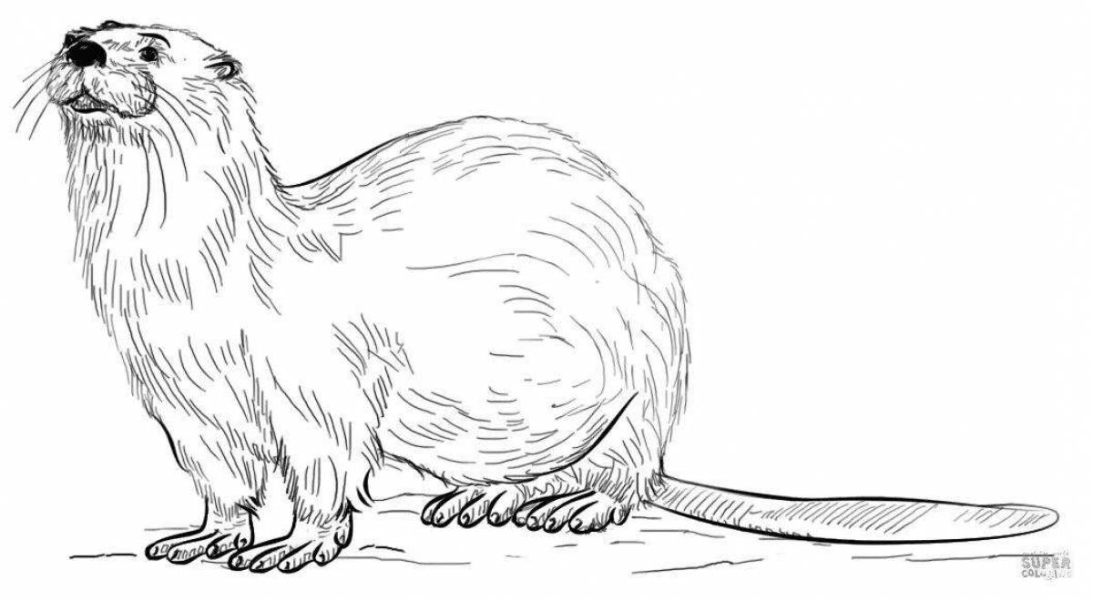 Playful river otter coloring page