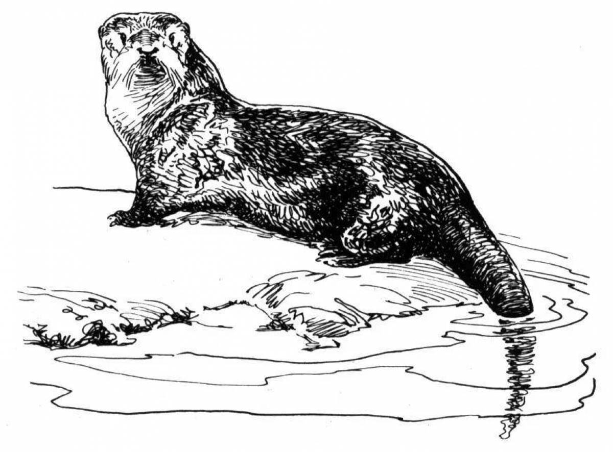 Colorful river otter coloring page
