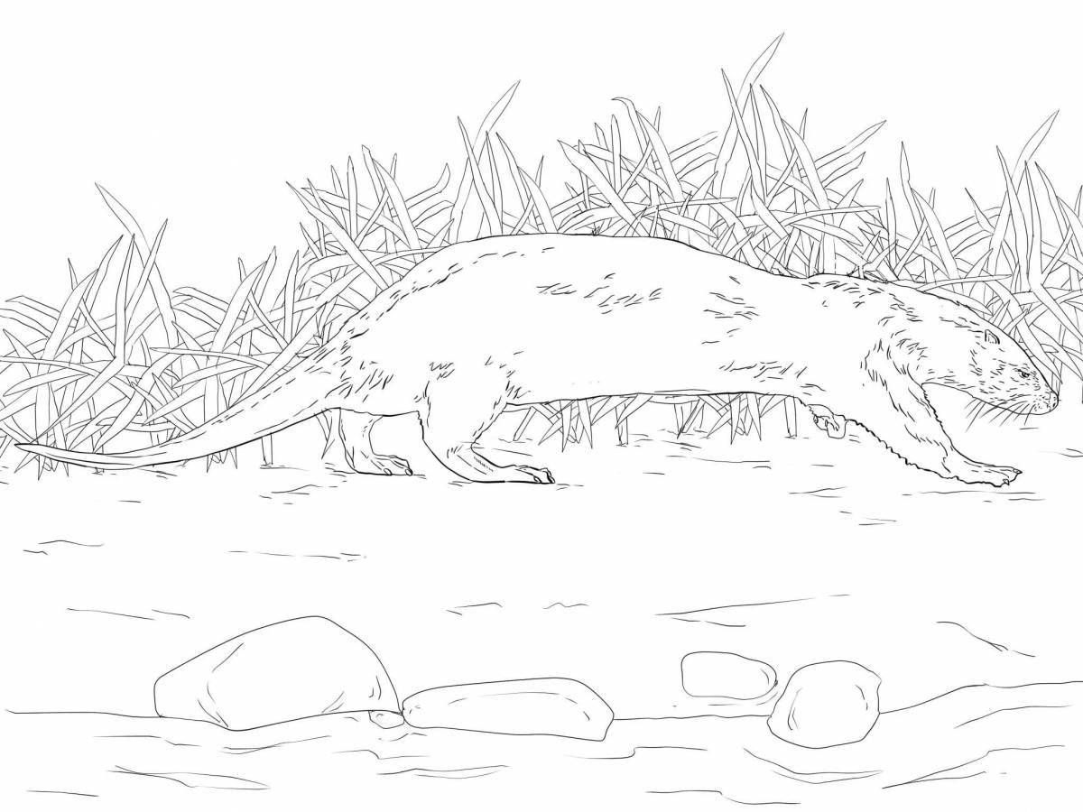 Amazing river otter coloring page