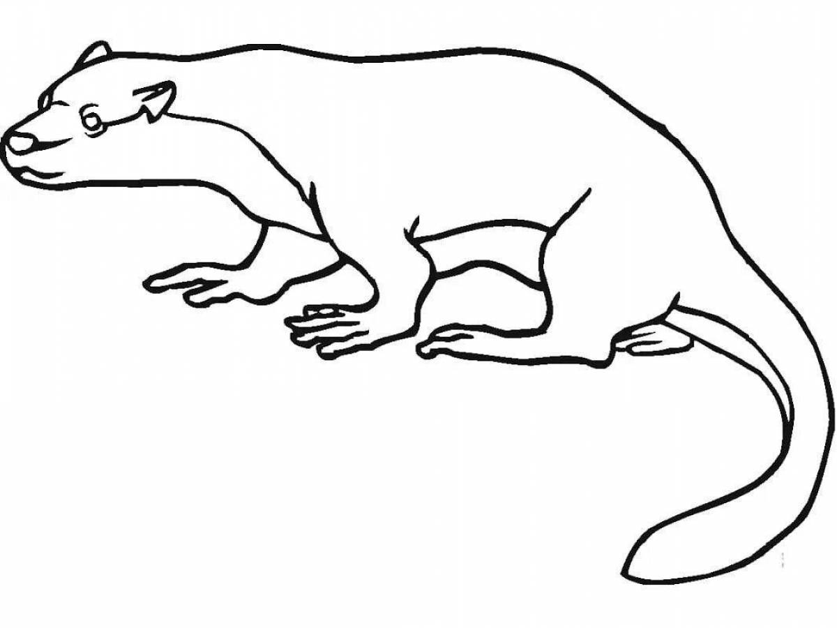 Adorable river otter coloring page