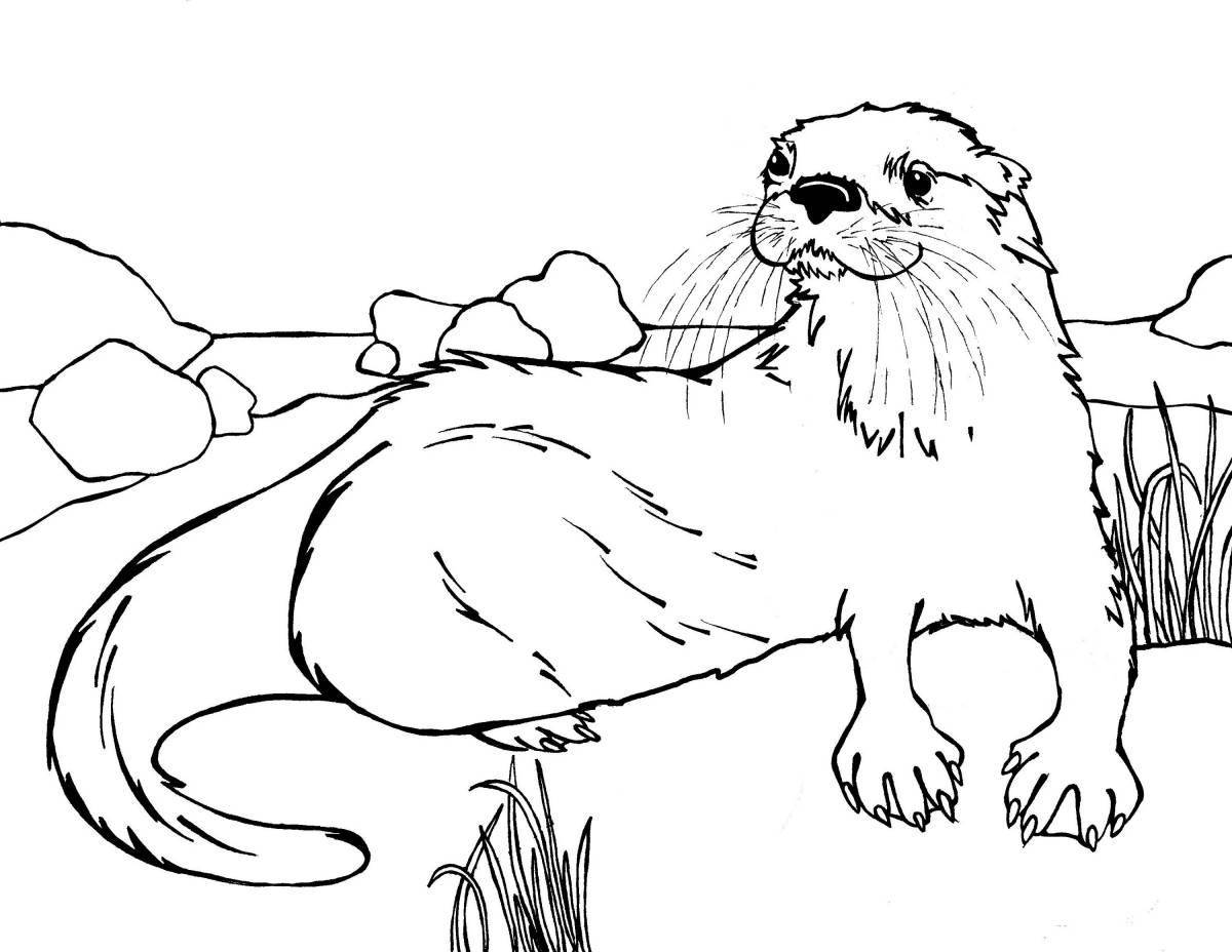 Fun coloring of the river otter